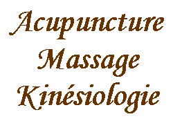 Zone de Texte: AcupunctureMassageKinsiologie